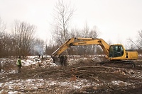 Wycinka to dopiero początek