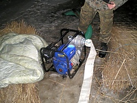 Wykopalisko w trzcinowisku