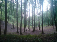 Wypoczywaj aktywnie!