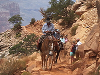 Wyprawa szlakiem Wielkiego Kanionu