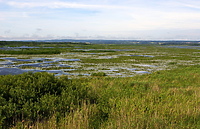 Wysoczyzna – pierwszy bym protestował