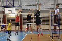Wystartowała siatkarska Awangarda Volley Ligi