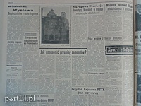 Wystawa psów rasowych