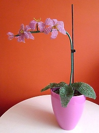 Wystawa sióstr w Filii nr 6