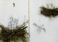 Z indeksem w kieszeni