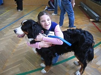 Terapeuci na czterech łapach