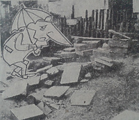 Z wędrówek Drzazgi