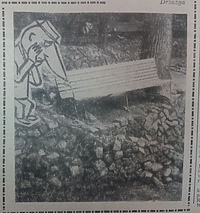 Z wędrówek Drzazgi po Bażantarni