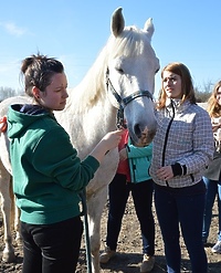 Z wizytą w Patrolu Interwencyjnym ds. Zwierząt Gospodarskich