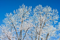 Za to natura słono zapłaci