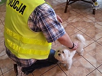 Papaj jest już w domu. Jego "porywaczka" stanie przed sądem