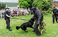 Zabawa z policjantami