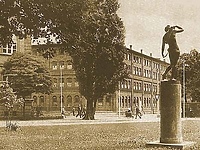Zagłosuj na Dianę! Ostatnia okazja  (akcja portElu)
