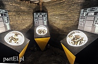 Zajrzyj do muzeum po zmroku!