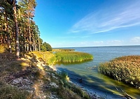 Zalew Wiślany pod nadzorem specjalnym