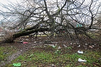 Zamiast hotelu –  śmieci. Gdy plany zarastają chwasty...