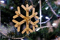 Zanim rozbłyśnie pierwsza gwiazdka...