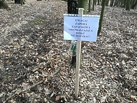 Nie siatka, nie płot, a... zapach