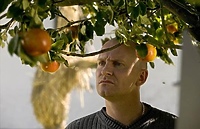 Zaproszenia na „Jabłka Adama”