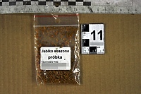 Zatrzymany za posiadanie narkotyków