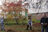 Z ekologią za pan brat