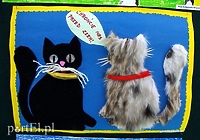 Ukradł kota, bo chciał jej zrobić na złość