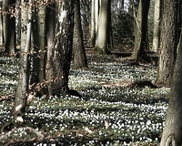 Spotkanie Zespołu Lokalnej Współpracy