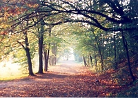 Konsultacje społeczne w sprawie obwodnicy