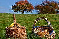 Las to nie śmietnik