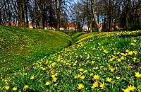 Miasto gra w zielone