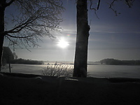 Dowcipny kierowca "dwunastki"