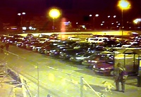 Ukradł labradora, bo mu się spodobał