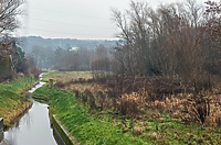 "Kumiela musi przestać być dzikuską"