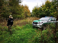 Zgubił się podczas grzybobrania