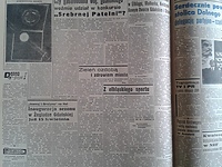 Zieleń ozdobą i zdrowiem miasta