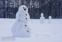 Zimowa armia bałwanów