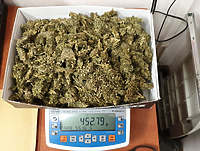 Złapani za posiadanie narkotyków