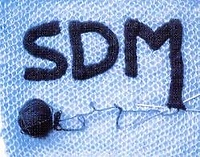 Zmiana terminu koncertu SDM
