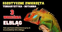 Zobacz z bliska egzotyczne zwierzęta!