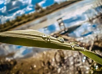 Sukcesy uczniów ZST-H