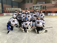 Zwycięstwa Wikingów