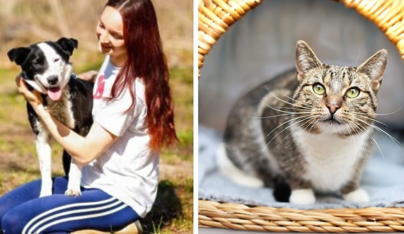 Galeria pod psem i kotem 