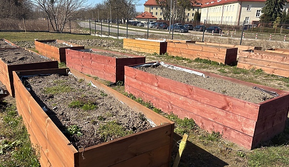 Zasiej, pielęgnuj, a potem ciesz się plonami