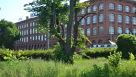 Industrialny Elbląg: Rowerowa wyprawa historyczna 