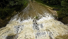 Czas na quiz. Czekając na wiosnę