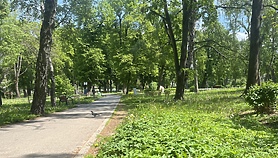 Czas na quiz. Spacerem po parkach