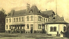 Dawno temu w Elblągu... skradziono sześć kur Dawno temu w Elblągu... skradziono sześć kur