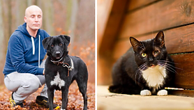 Galeria pod psem i kotem 