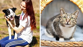 Galeria pod psem i kotem 