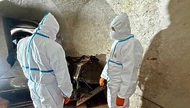 Wuj Kopernika poszukiwany